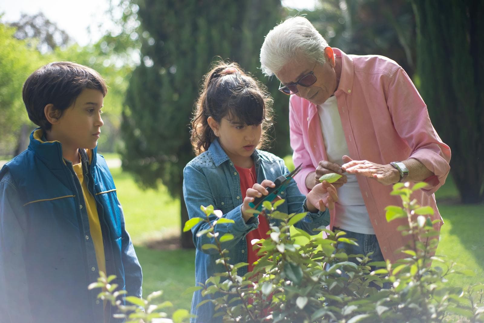 A grandparent and grandchildren examining a plant together in a garden