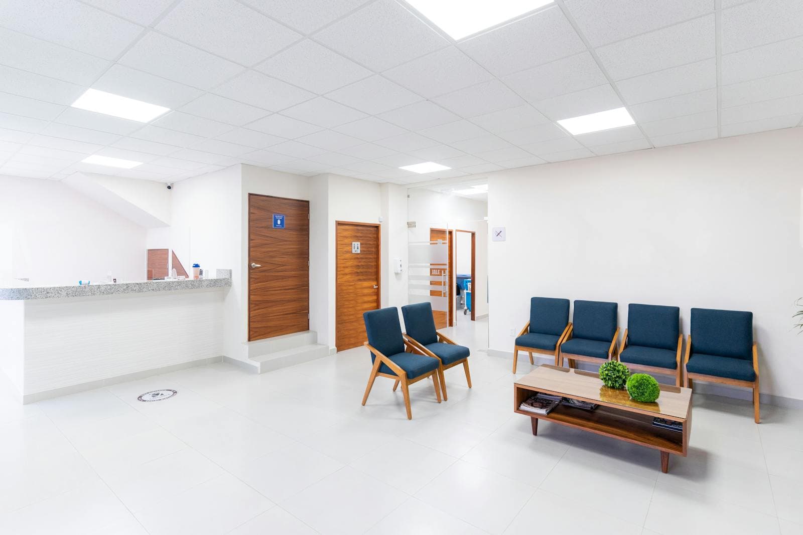 A calm, modern consulting room with natural light